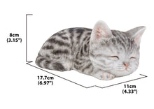 Load image into Gallery viewer, Grey Tabby Kitten Sleeping
