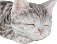 Load image into Gallery viewer, Grey Tabby Kitten Sleeping
