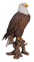 Load image into Gallery viewer, Large Bald Eagle On Stump Statue
