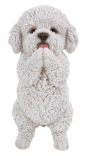 Load image into Gallery viewer, Poodle Puppy Playing Statue
