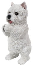Load image into Gallery viewer, Westie Puppy Playing Statue
