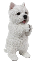 Load image into Gallery viewer, Westie Puppy Playing Statue
