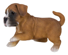 Load image into Gallery viewer, Boxer Puppy Playing Statue
