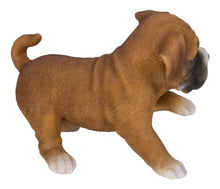 Load image into Gallery viewer, Boxer Puppy Playing Statue
