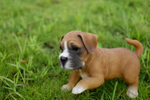 Load image into Gallery viewer, Boxer Puppy Playing Statue
