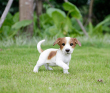 Load image into Gallery viewer, Jack Puppy Playing Statue

