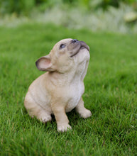 Load image into Gallery viewer, French Bulldog Puppy Howling
