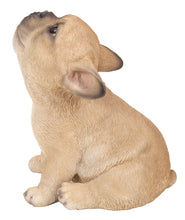 Load image into Gallery viewer, French Bulldog Puppy Howling
