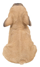 Load image into Gallery viewer, French Bulldog Puppy Howling
