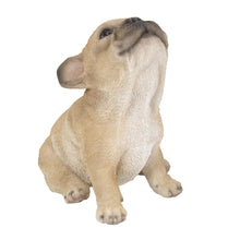 Load image into Gallery viewer, French Bulldog Puppy Howling
