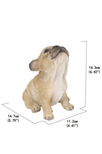 Load image into Gallery viewer, French Bulldog Puppy Howling
