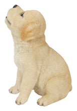 Load image into Gallery viewer, Yellow Labrador Puppy Howling
