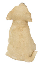 Load image into Gallery viewer, Yellow Labrador Puppy Howling
