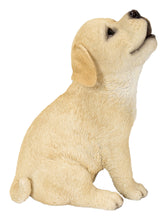 Load image into Gallery viewer, Yellow Labrador Puppy Howling
