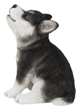 Load image into Gallery viewer, Siberian Husky Puppy Howling
