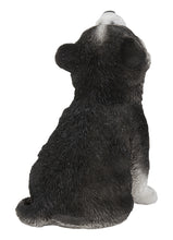 Load image into Gallery viewer, Siberian Husky Puppy Howling
