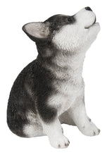 Load image into Gallery viewer, Siberian Husky Puppy Howling
