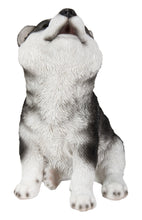 Load image into Gallery viewer, Siberian Husky Puppy Howling
