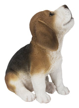 Load image into Gallery viewer, Beagle Puppy Howling
