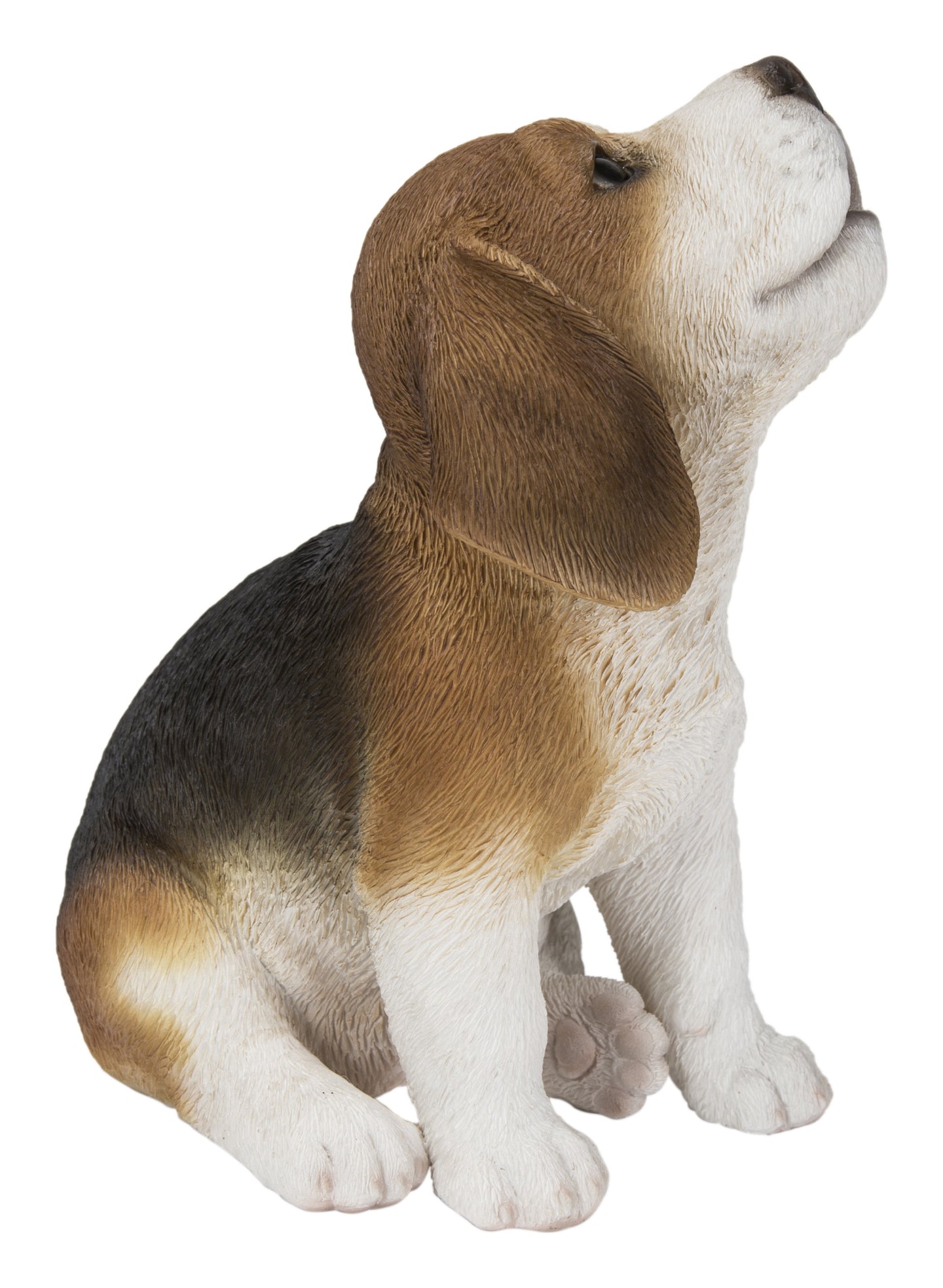 Beagle Puppy Howling