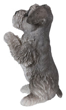 Load image into Gallery viewer, Schnauzer Puppy Praying
