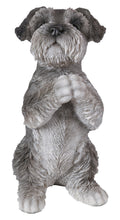 Load image into Gallery viewer, Schnauzer Puppy Praying
