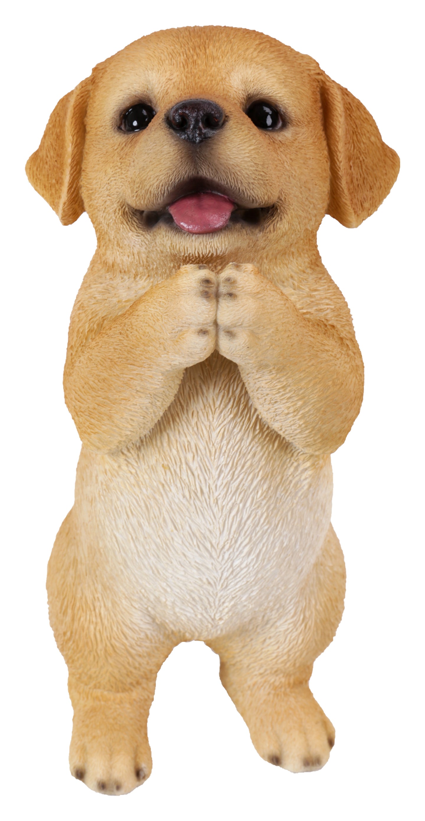 Yellow Labrador Puppy Praying