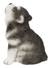 Load image into Gallery viewer, Alaskan Malamute Puppy Howling
