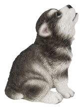 Load image into Gallery viewer, Alaskan Malamute Puppy Howling
