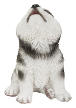 Load image into Gallery viewer, Alaskan Malamute Puppy Howling
