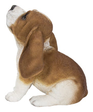Load image into Gallery viewer, Basset Hound Puppy Howling
