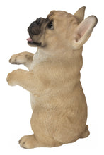 Load image into Gallery viewer, Standing French Bulldog
