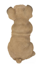 Load image into Gallery viewer, Standing French Bulldog
