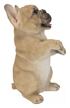 Load image into Gallery viewer, Standing French Bulldog
