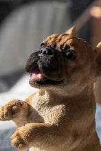 Load image into Gallery viewer, Standing French Bulldog
