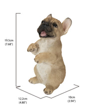 Load image into Gallery viewer, Standing French Bulldog
