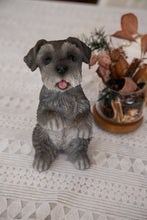 Load image into Gallery viewer, Standing Miniature Schnauzer
