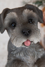 Load image into Gallery viewer, Standing Miniature Schnauzer
