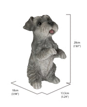 Load image into Gallery viewer, Standing Miniature Schnauzer
