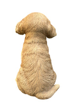 Load image into Gallery viewer, SoReal - Yawning Golden Retriever
