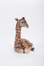Load image into Gallery viewer, Giraffe Laying Down Statue
