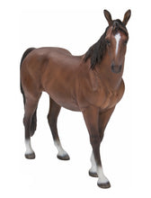 Load image into Gallery viewer, Standing Horse
