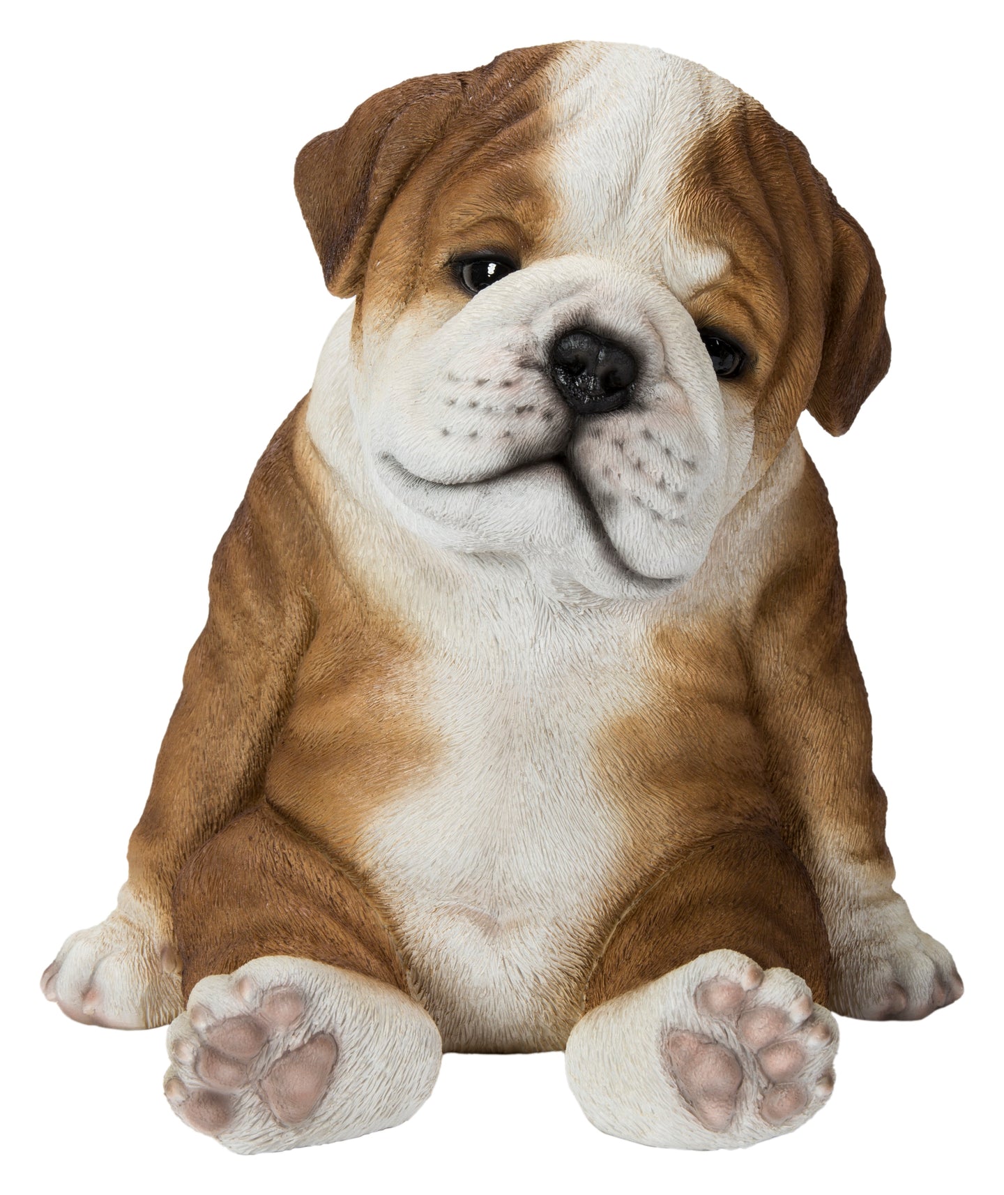 Bulldog Sleeping Medium