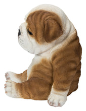 Load image into Gallery viewer, Bulldog Sleeping Medium

