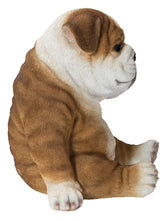 Load image into Gallery viewer, Bulldog Sleeping Medium
