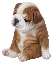 Load image into Gallery viewer, Sitting Sleepy Bulldog Puppy Statue
