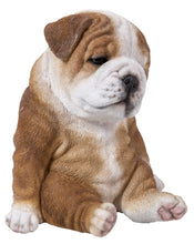 Load image into Gallery viewer, Sitting Sleepy Bulldog Puppy Statue
