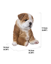 Load image into Gallery viewer, Sitting Sleepy Bulldog Puppy Statue
