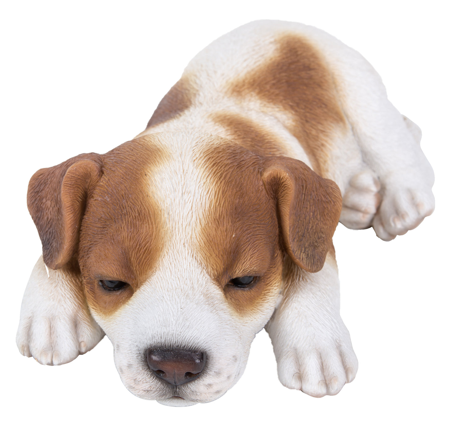 Jack Russell Puppy Sleeping