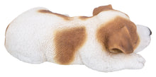 Load image into Gallery viewer, Jack Russell Puppy Sleeping
